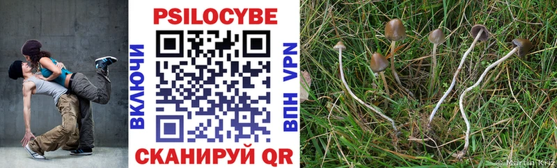 Галлюциногенные грибы Psilocybine cubensis даркнет сайт Первомайск
